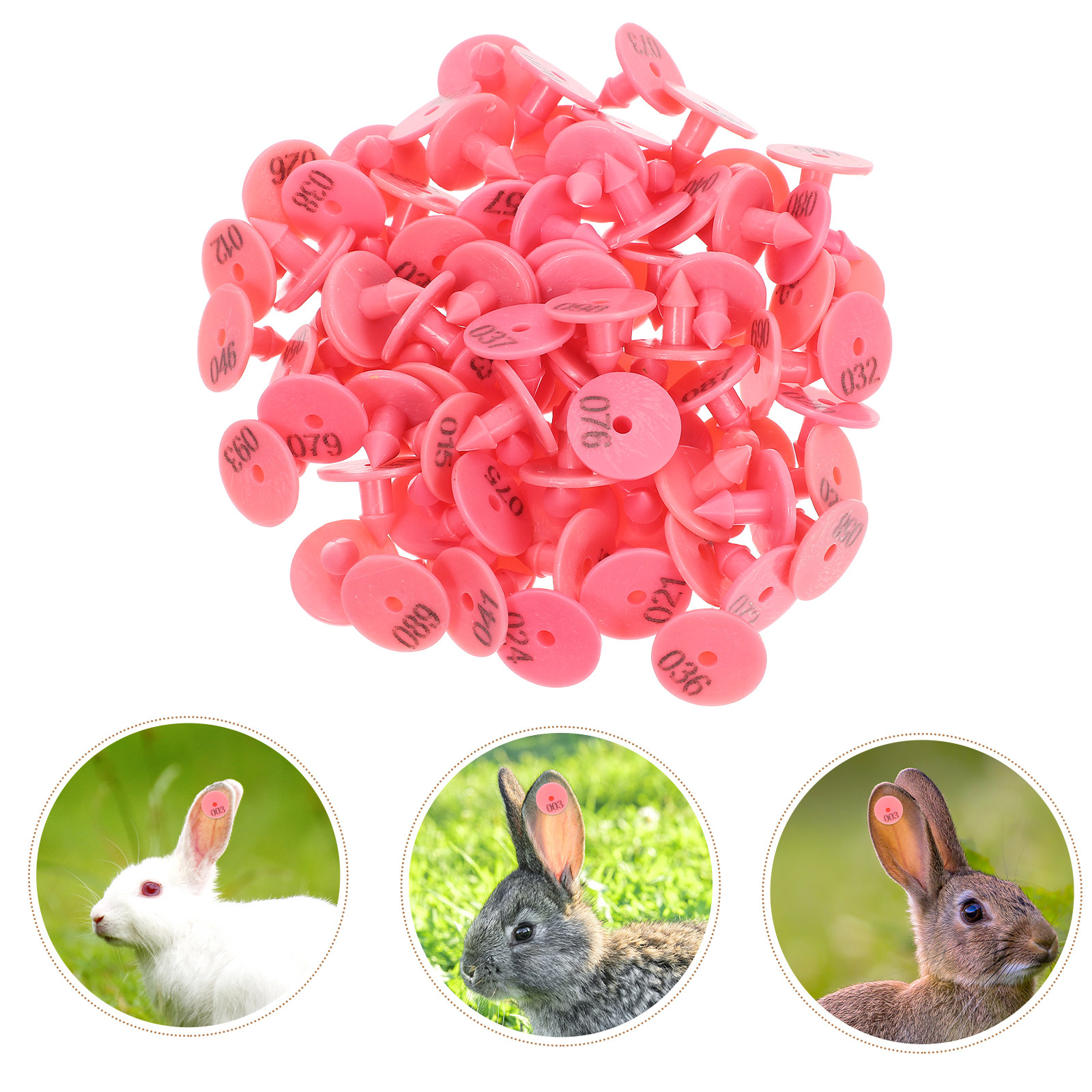 Livestock Ear Tag - 100Pcs Livestock Ear Tags Numbered Bright