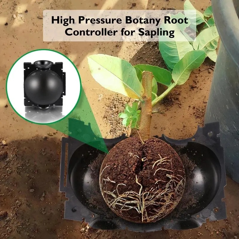 5/30Pcs Plant Rooting Ball Gra - Plant Growth Regulator ulasan dan harga
