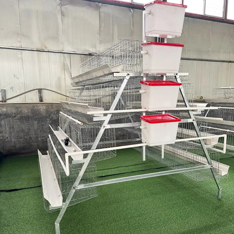 Cheap Price Poultry Farm 10000 - Farming Africa ulasan dan harga