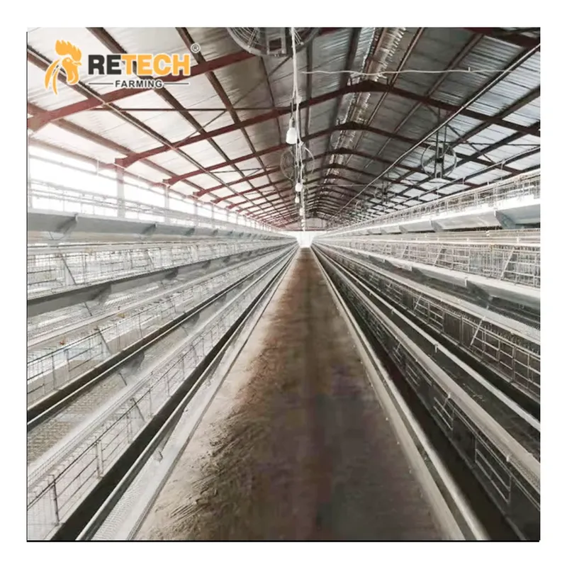 Automatic Layer Chicken Cage A - Farming Africa ulasan dan harga