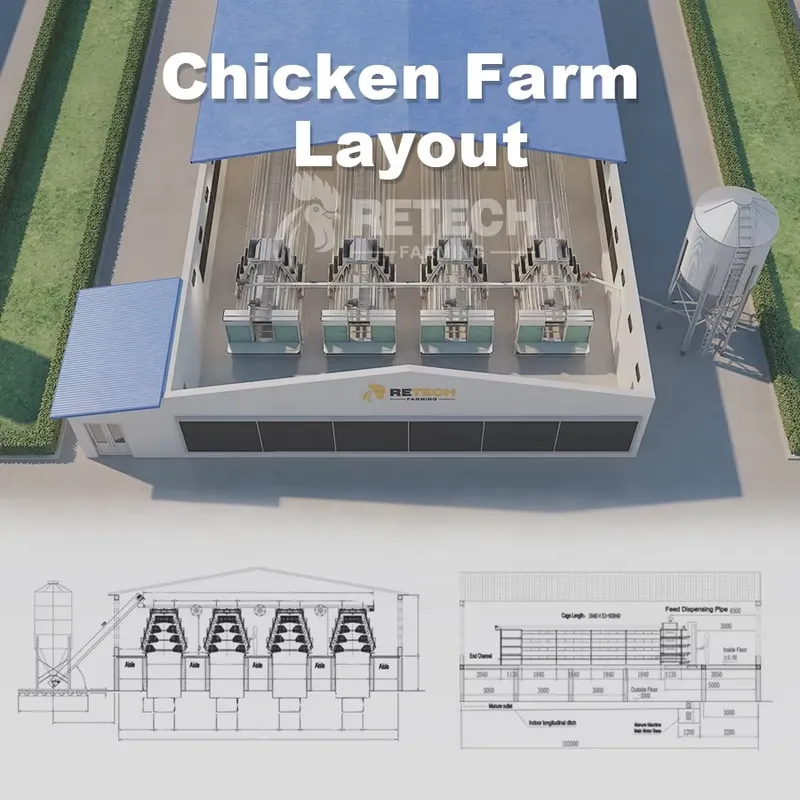 Automatic Layer Chicken Cage A - Farming Africa ulasan dan harga