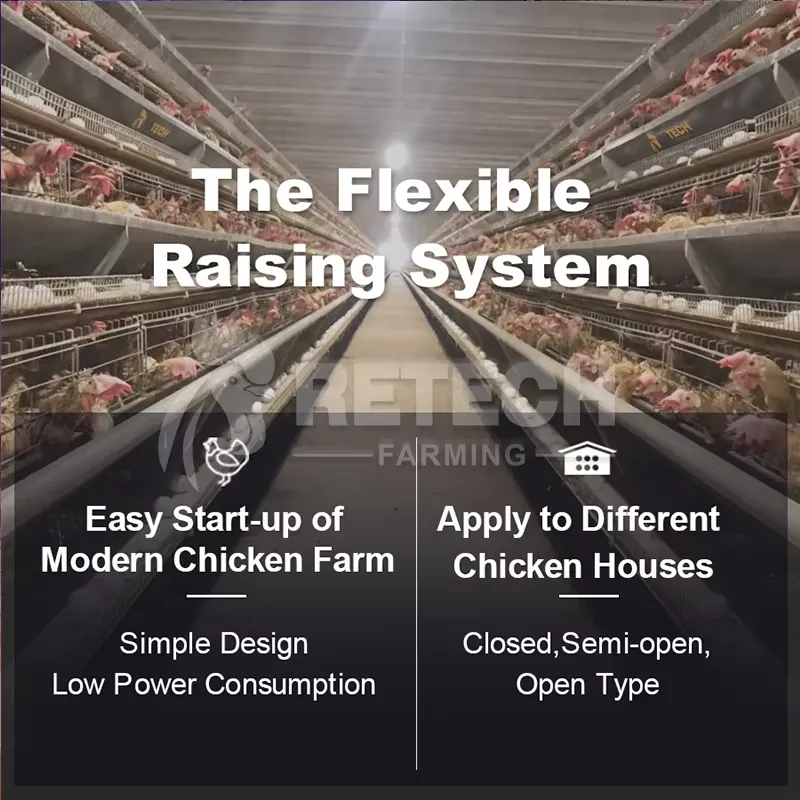 Automatic Layer Chicken Cage A - Farming Africa ulasan dan harga