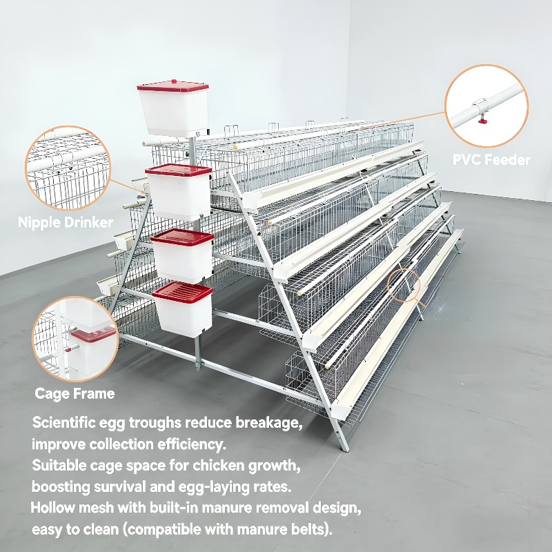  chicken coop New Africa a Typ - Farming Africa ulasan dan harga