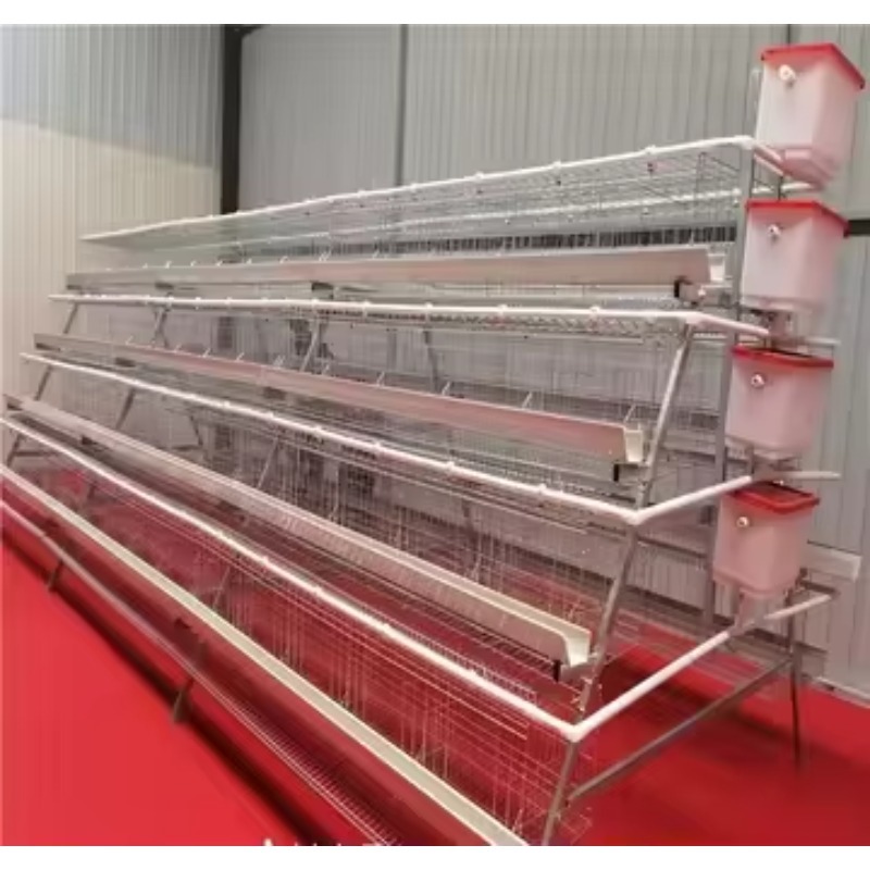  chicken coop New Africa a Typ - Farming Africa ulasan dan harga