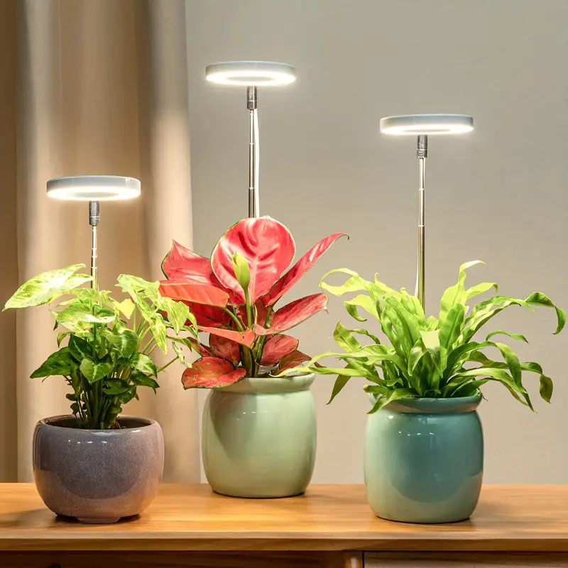 LED Grow Light Full Spectrum P - Plant Growth Regulator ulasan dan harga