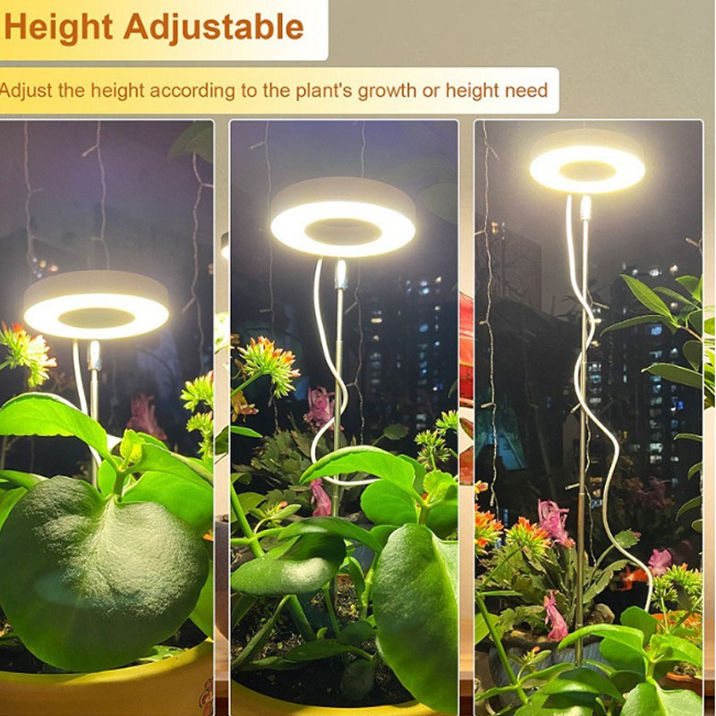LED Grow Light Full Spectrum P - Plant Growth Regulator ulasan dan harga