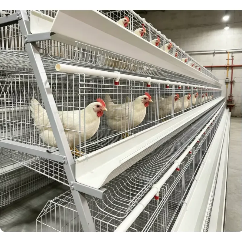 A Type Battery Layer Cage Full - Farming Africa ulasan dan harga