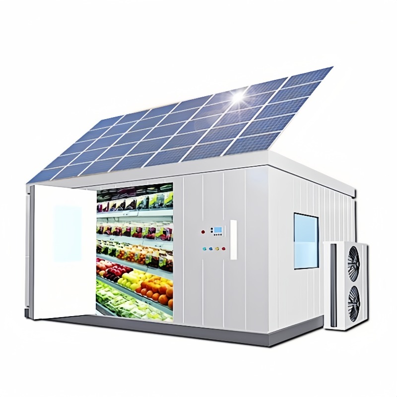 Solar Walk in Cold Storage Roo - Farming Africa ulasan dan harga
