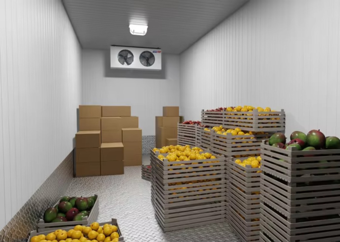 Solar Walk in Cold Storage Roo - Farming Africa ulasan dan harga