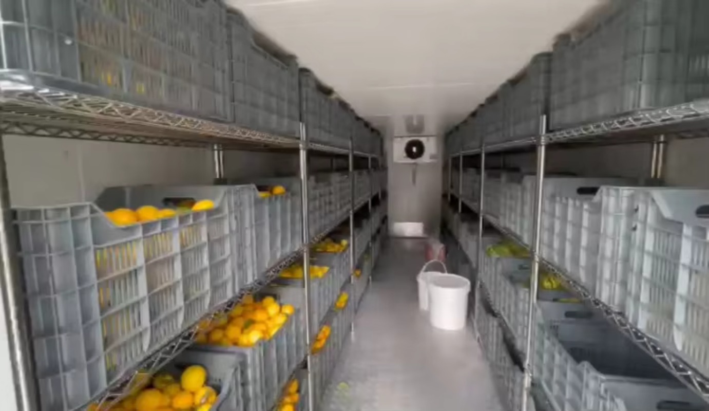 Solar Walk in Cold Storage Roo - Farming Africa ulasan dan harga