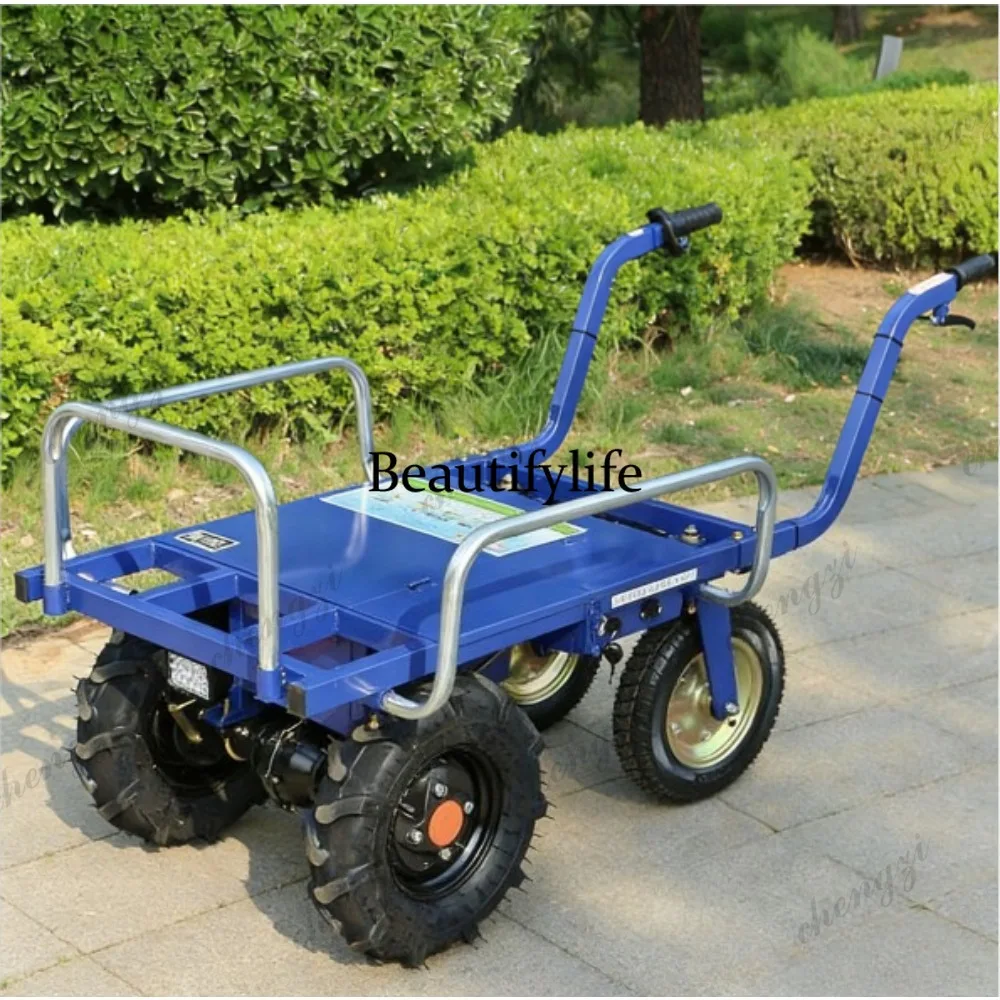 a55  Electric Tricycles and Fo - Agriculture Farming Livestock ulasan dan harga