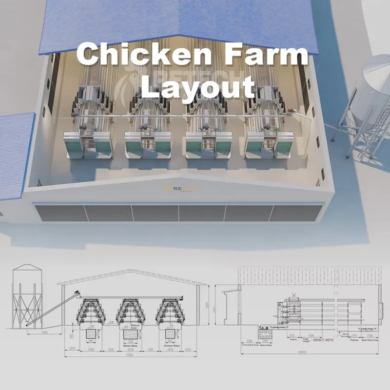 Automatic Egg Layer Chicken Ca - Farming Africa ulasan dan harga