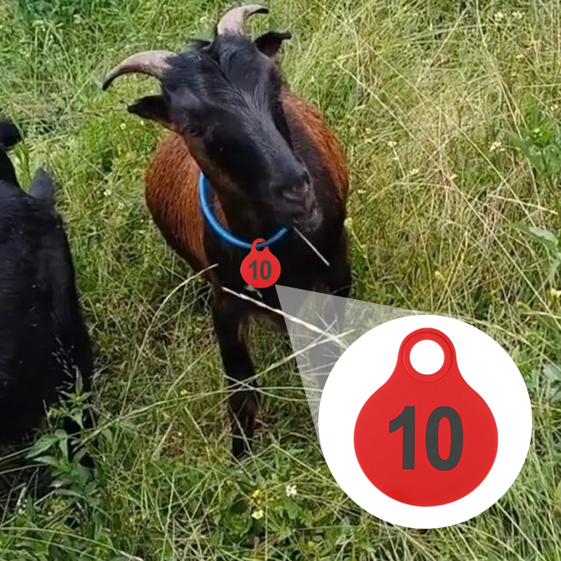 001-100 Cattle TPU Hanging Tag - Livestock Ear Tag ulasan dan harga