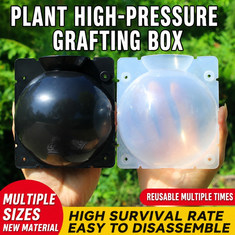 10pcs Plant Propagation Kit: H - Plant Growth Regulator ulasan dan harga