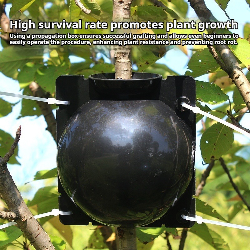 10pcs Plant Propagation Kit: H - Plant Growth Regulator ulasan dan harga