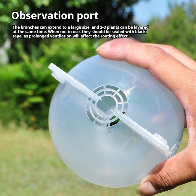 10pcs Plant Propagation Kit: H - Plant Growth Regulator ulasan dan harga