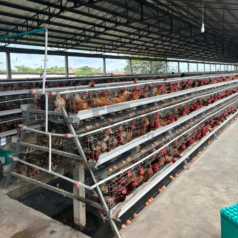 Machinery Sale In South Africa - Farming Africa ulasan dan harga