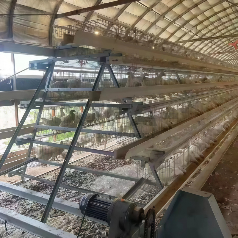 Machinery Sale In South Africa - Farming Africa ulasan dan harga