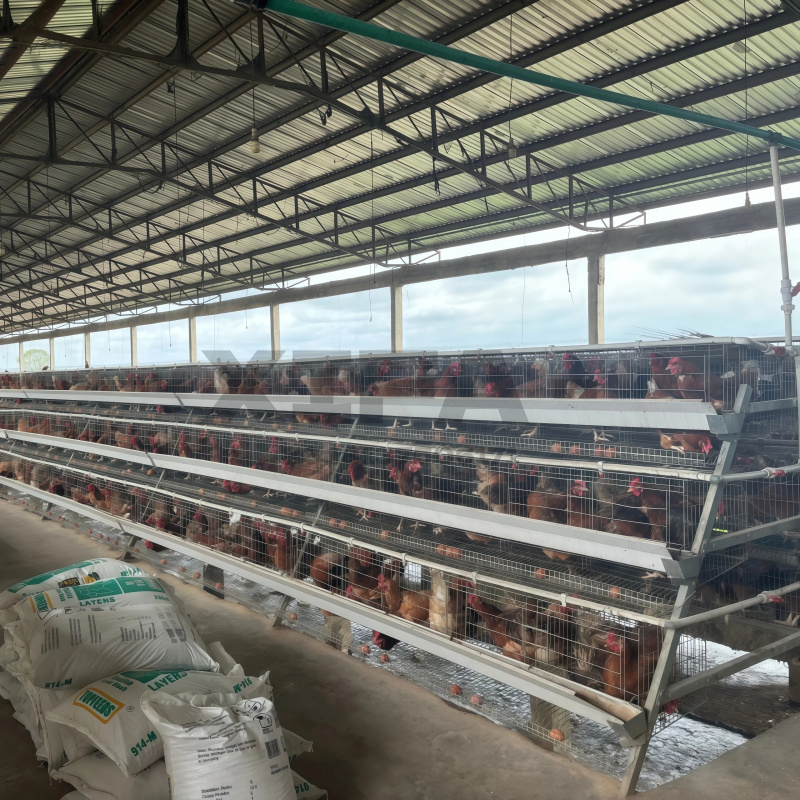 Machinery Sale In South Africa - Farming Africa ulasan dan harga