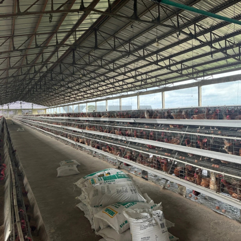 Machinery Sale In South Africa - Farming Africa ulasan dan harga