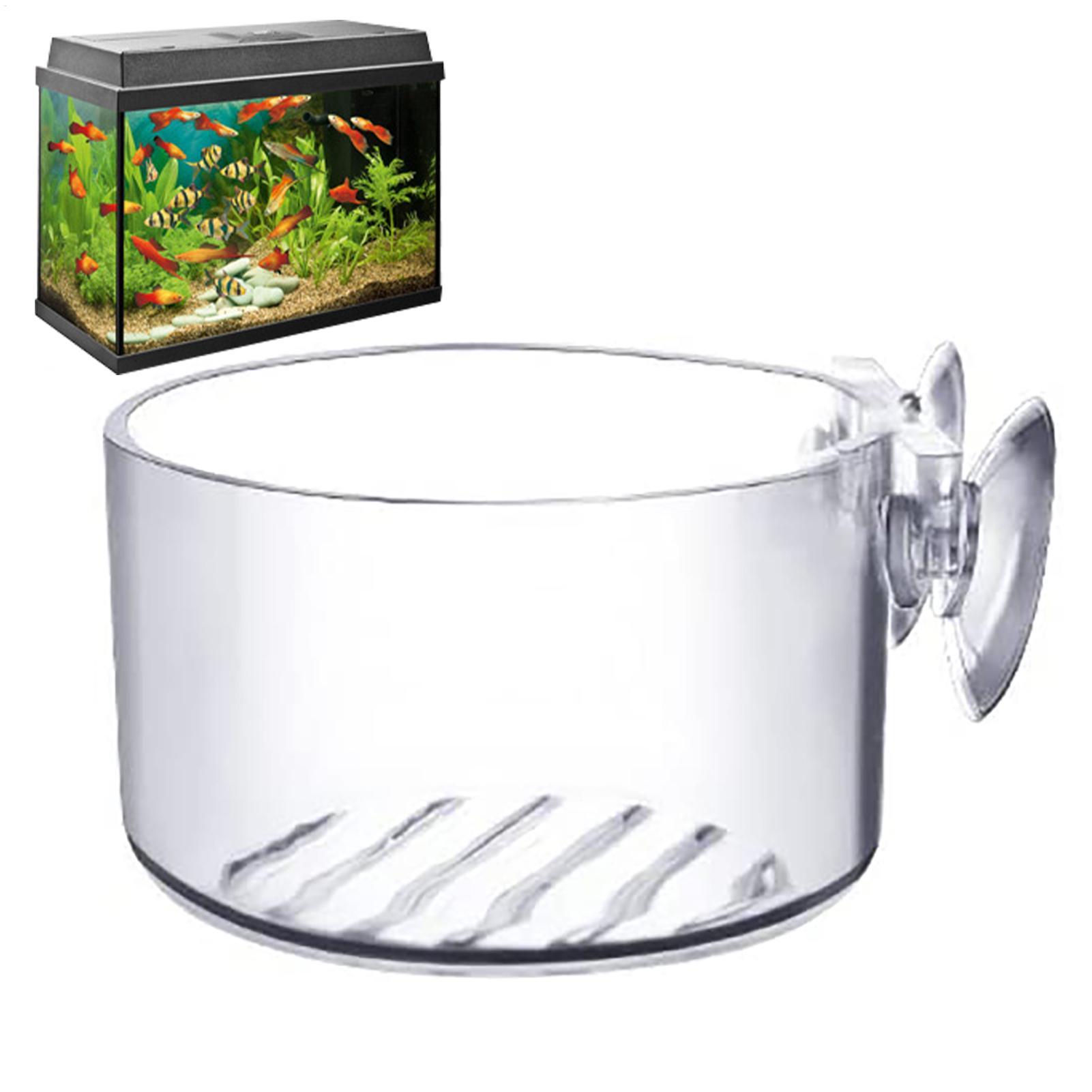 Aquatic Plant Pot Acrylic Aqua - Plant Growth Regulator ulasan dan harga