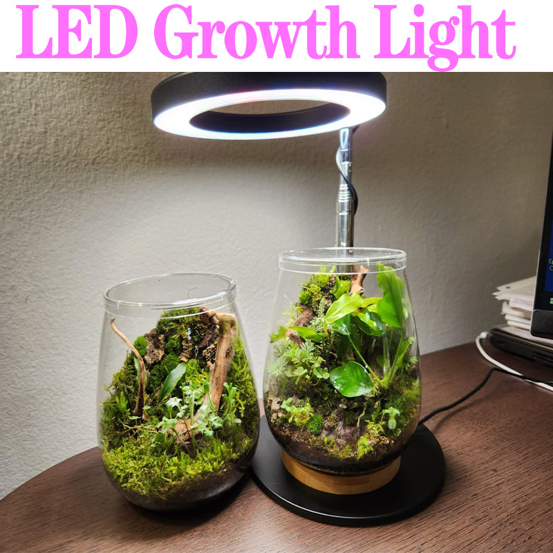 Full Spectrum Plant Lamp USB G - Plant Growth Regulator ulasan dan harga