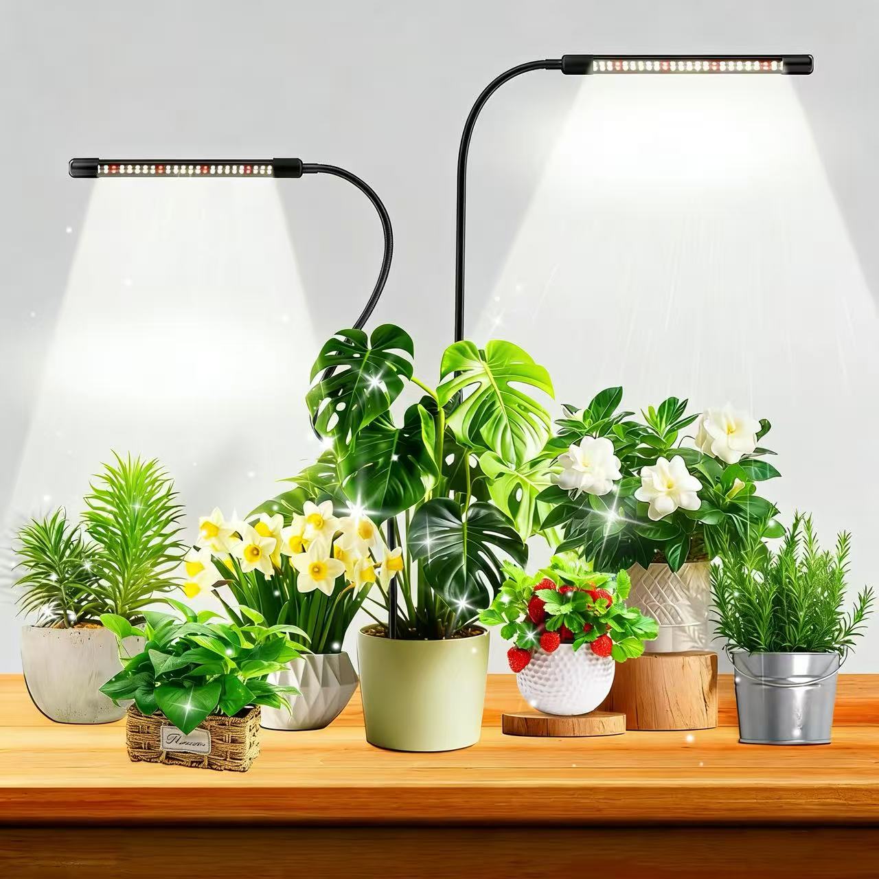 48LEDs Grow Lights for Indoor  - Plant Growth Regulator ulasan dan harga