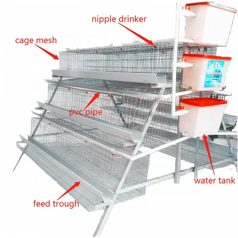 H Type Layer Cages for Poultry - Farming Africa ulasan dan harga